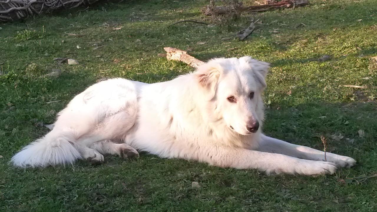 Giunasco Bagnone Εξωτερικό φωτογραφία